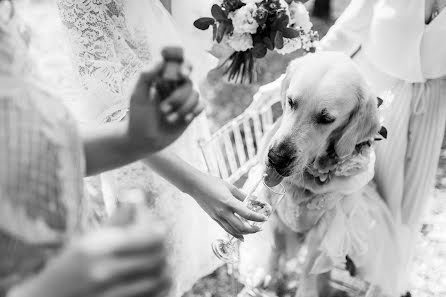 Wedding photographer Vitaliy Rimdeyka (rimdeyka). Photo of 29 October 2019