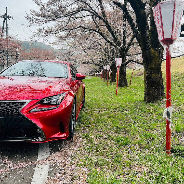 RCのレクサス10系祭り・レクサスRC・桜とコラボ・10日は10系RCの日に関するカスタム事例の投稿画像3枚目