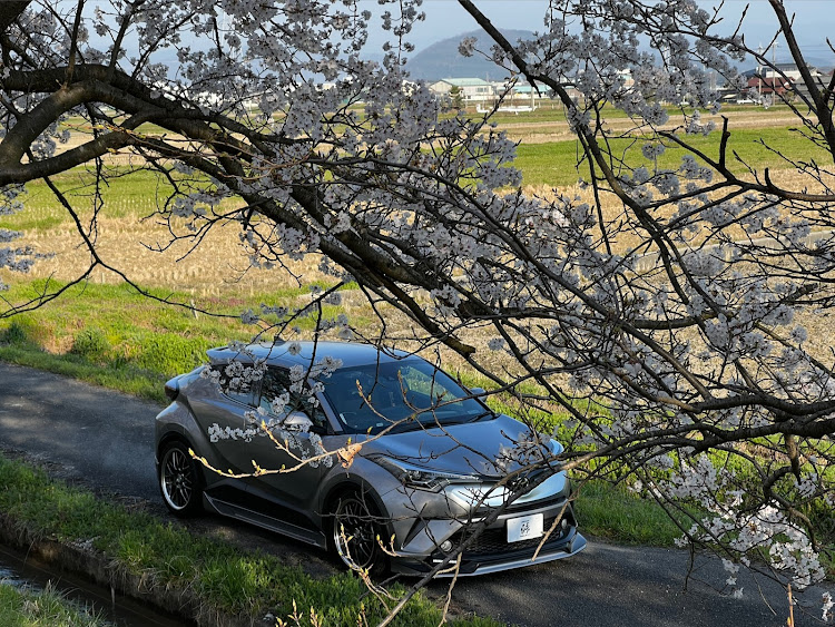 C-HRの桜とコラボに関するカスタム事例の投稿画像4枚目