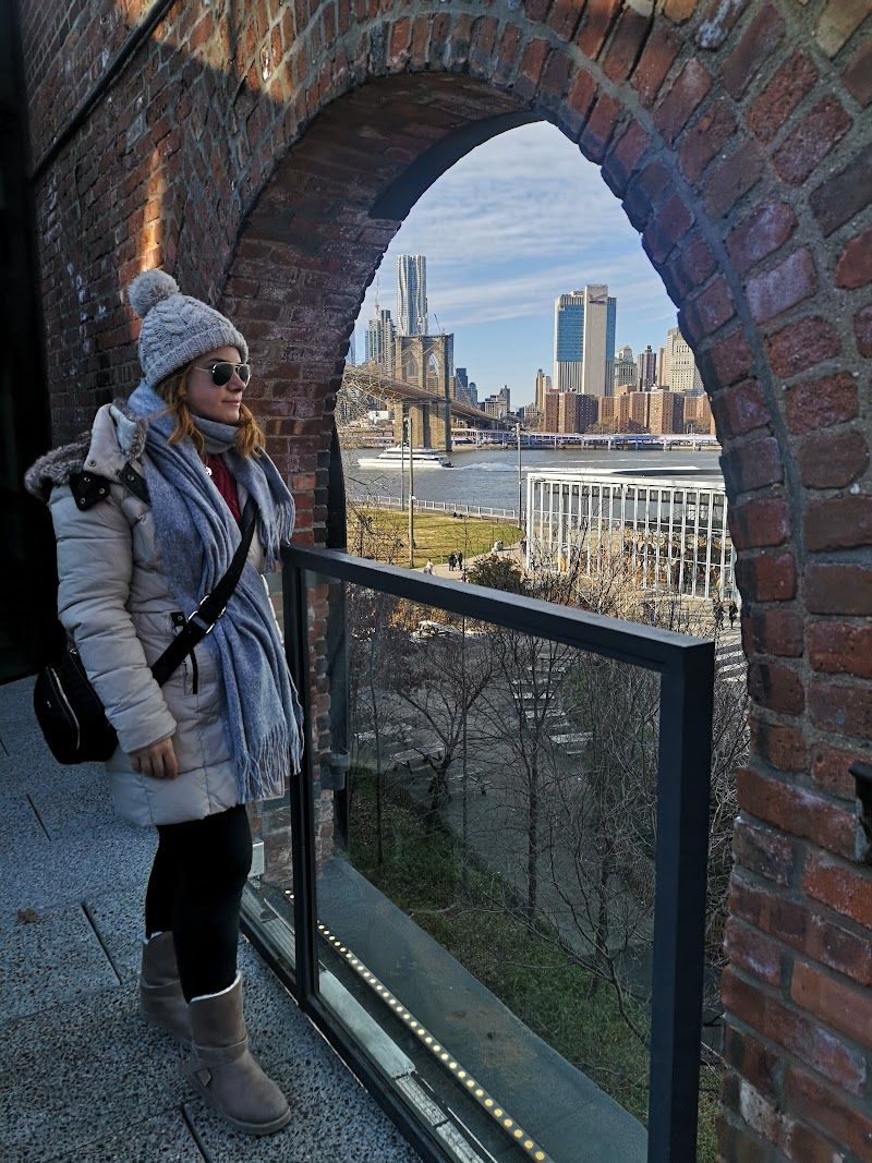 Nueva York en Navidad. Diciembre 2019 - Blogs de USA - Excursión de Contrastes. Visita a Dumbo y Dyker Heights (22)