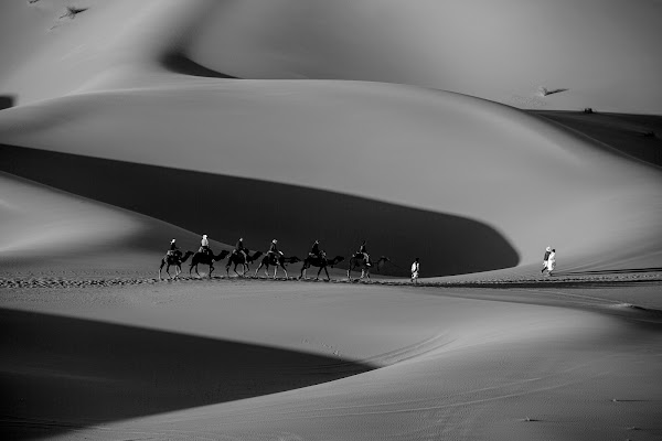 Tra le dune di MARIOFFOTO