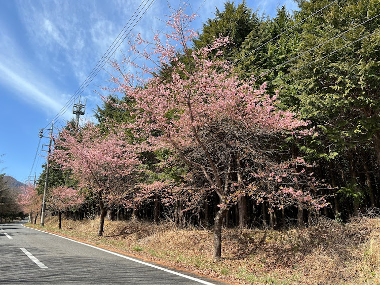 の投稿画像3枚目