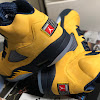 AIR JORDAN 5 MICHIGAN
ついに届いた