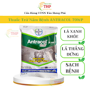 Thuốc Trừ Bệnh Antracol 70Wp | Trừ Nấm Bệnh | Gói 100G, 1 Kg