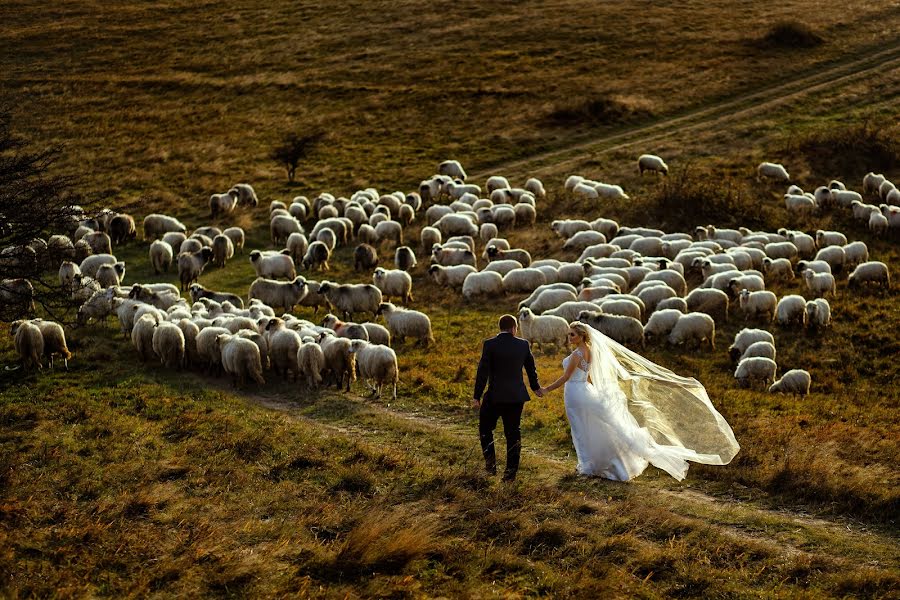 Düğün fotoğrafçısı Claudiu Negrea (claudiunegrea). 22 Kasım 2016 fotoları