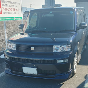 bB NCP30