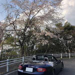 ロードスター NCEC