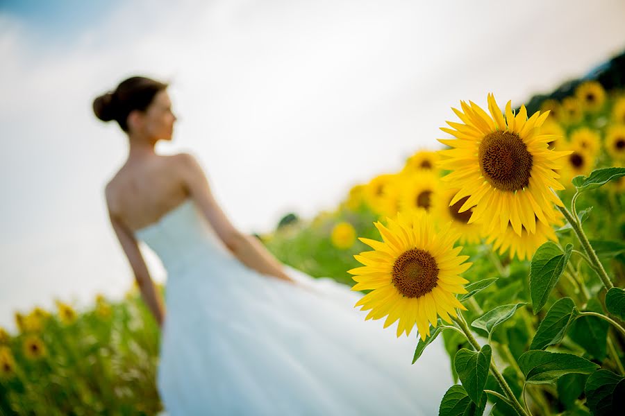 Wedding photographer Michele Ruffaldi Santori (ruffaldisantori). Photo of 10 February 2014