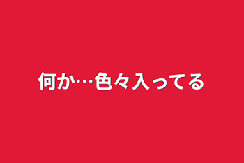 何か…色々入ってる