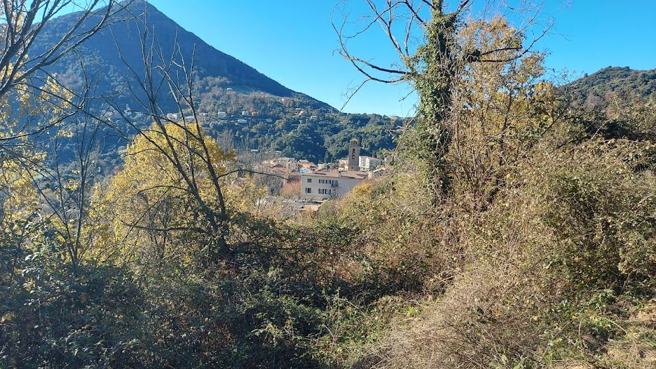 Vente terrain  2350 m² à Vico (20160), 160 000 €