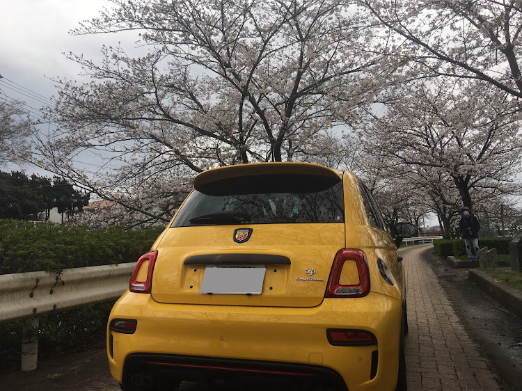 Byperさんが投稿した桜とコラボに関するカスタム事例の投稿画像2枚目