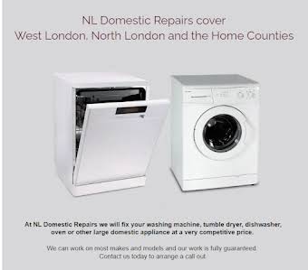 NL Domestic repairs album cover