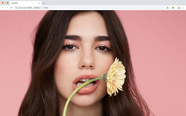 Dua Lipa HD Wallpapers Featured ArtistsThemes