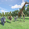Wild Animals Race Simulator 3D icon