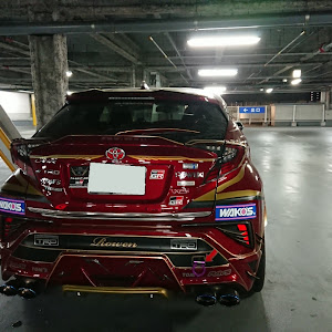 C-HR ZYX10