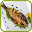 اطباق السمك بالفرن Download on Windows