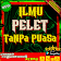 Ilmu Pelet Tanpa Puasa icon