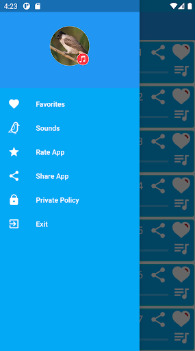 Sooty-headed Bulbul Bird Sounds