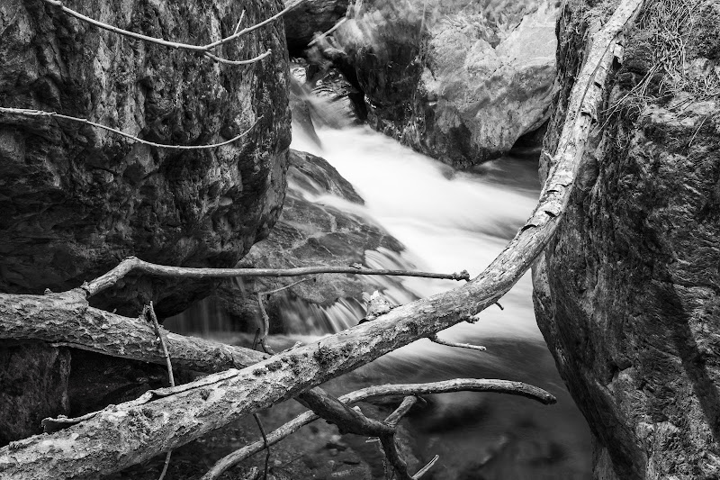 Torrente di Livio Racca