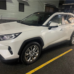 RAV4 MXAA54