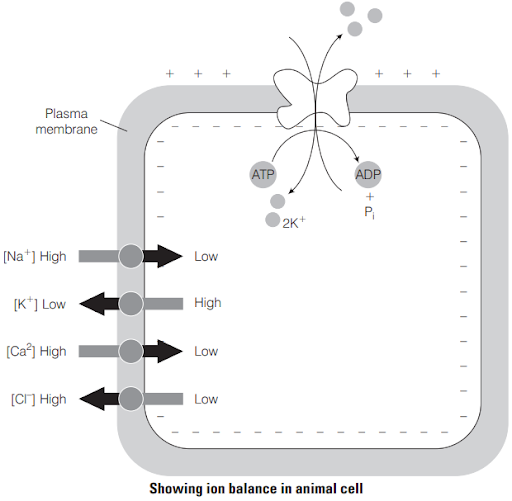 Solution Image