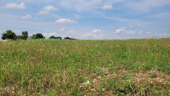 terrain à Ballon (17)