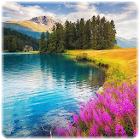 Landscape Puzzle Jigsaw 1.0