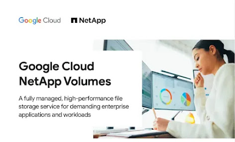 google cloud netapp volumes dengan perempuan di komputer