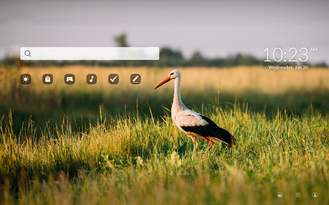 Stork HD Wallpapers New Tab