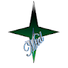 premium - greenstar icon