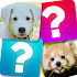 Memory Game: Animals4.1