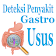 Deteksi Penyakit Gastro Usus icon