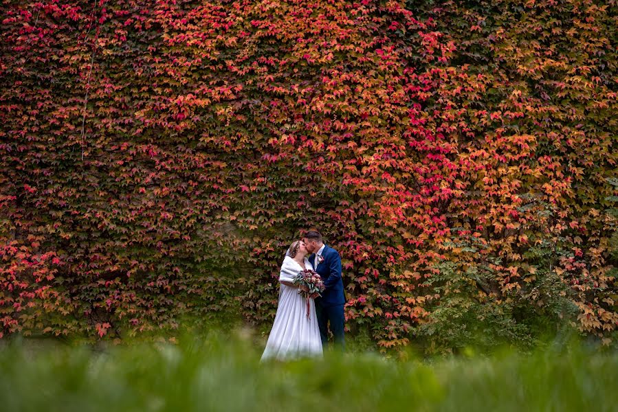 Wedding photographer Jarda Zaoral (jarinek). Photo of 3 November 2019