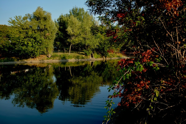 Riflessi di natura di ALE69BER