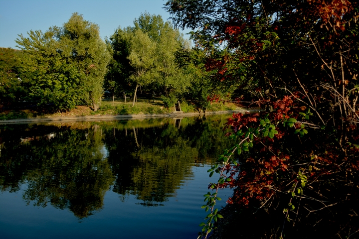 Riflessi di natura di ALE69BER