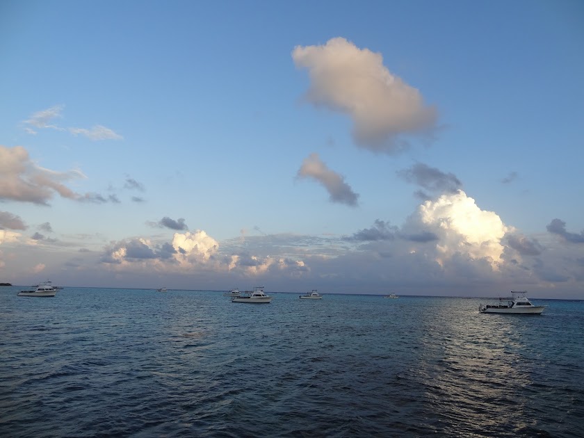 2015 - Little Cayman