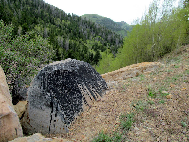 Asphalt seeping out of a boulder