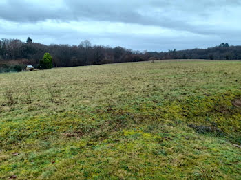 terrain à Bonnac-la-Côte (87)