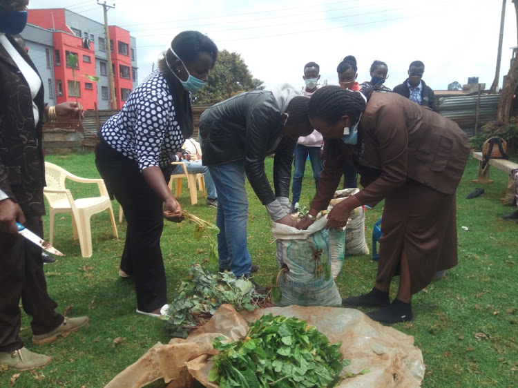 County government economic adviser Njoki Wamitugo (brown suit) shows youths how to plant vegetables in a bag at Kinoo chief's office in Kikuyu constituency.