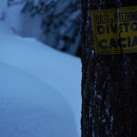 Squarcio di bosco imbiancato di 