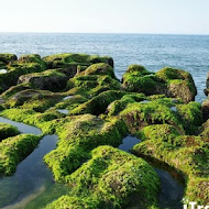 海灣綠洲 bay & oasis 景觀餐廳