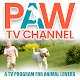 PAW TV Download on Windows