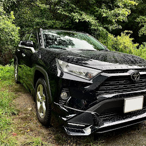 RAV4 MXAA52