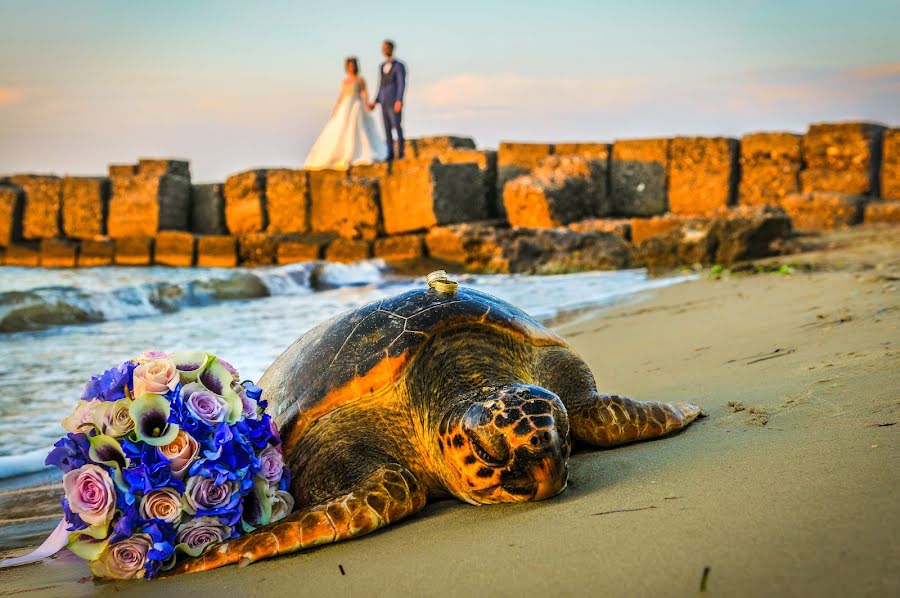 Photographe de mariage Tedi Arifi (arifi). Photo du 28 septembre 2016