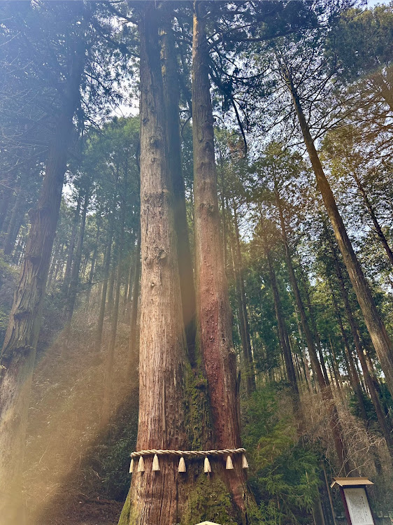 ロードスターの神社巡り・御岩神社 パワースポット 宇宙・茨城県日立市に関するカスタム事例の投稿画像4枚目