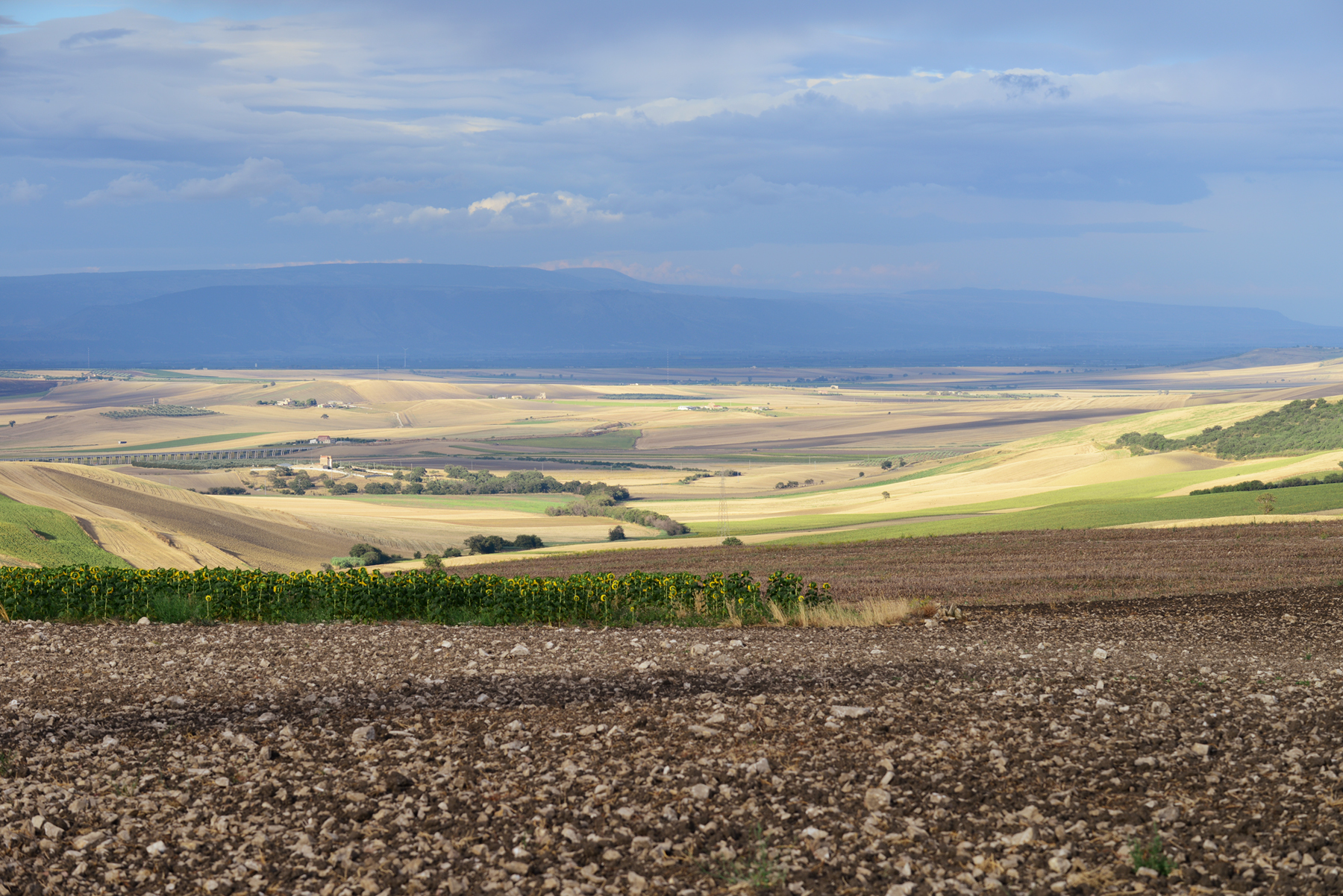 Verso il Gargano di Jorjo