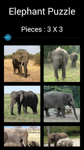 Elephant Puzzle: Jigsaw Puzzle