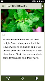 Holy Basil Daily(圖4)-速報App