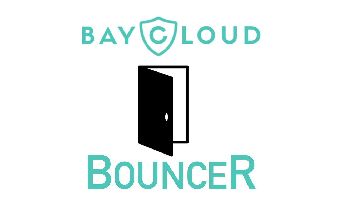 Baycloud Bouncer Preview image 5