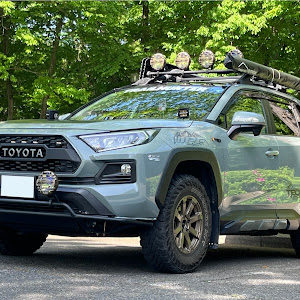 RAV4 MXAA54